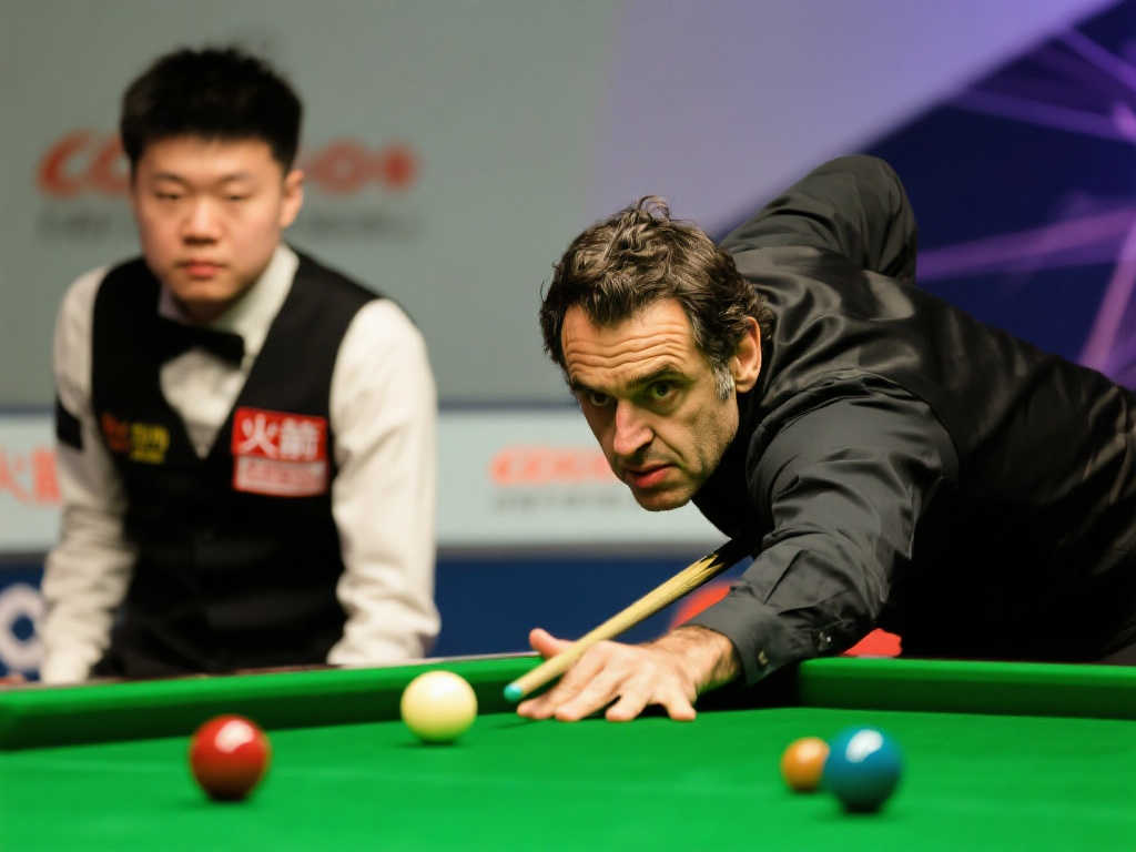 乐部的全部 乐部的全部